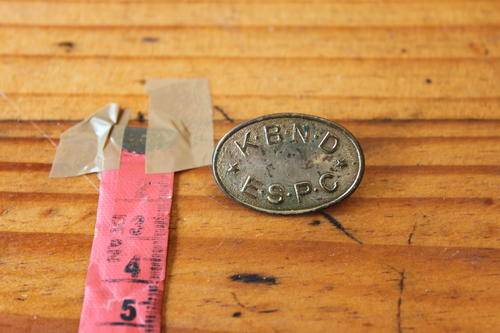 Essential Service Protecton Corps collar badge